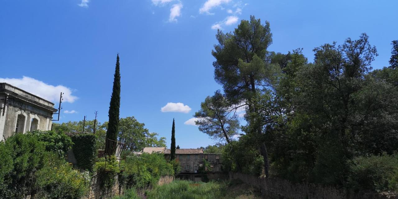 Bed and Breakfast Le Mimosa Saint-Saturnin-de-Lucian Exteriér fotografie