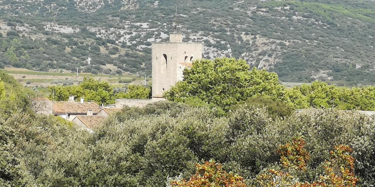 Bed and Breakfast Le Mimosa Saint-Saturnin-de-Lucian Exteriér fotografie
