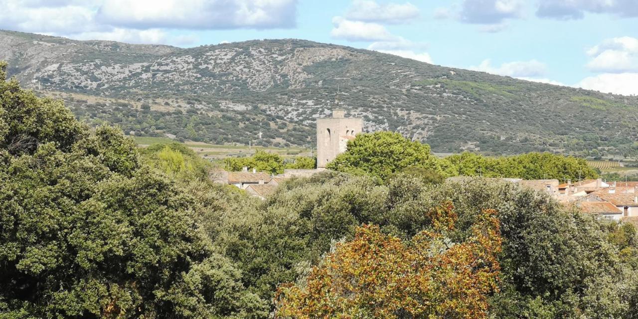 Bed and Breakfast Le Mimosa Saint-Saturnin-de-Lucian Exteriér fotografie