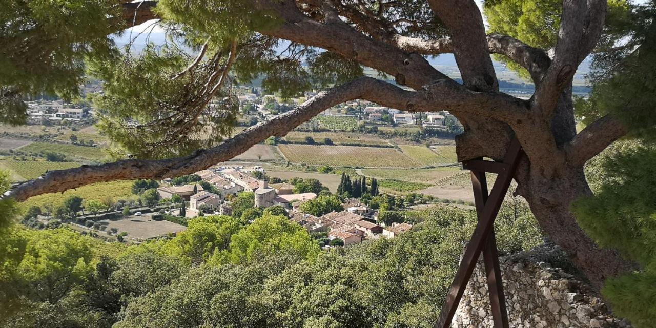 Bed and Breakfast Le Mimosa Saint-Saturnin-de-Lucian Exteriér fotografie