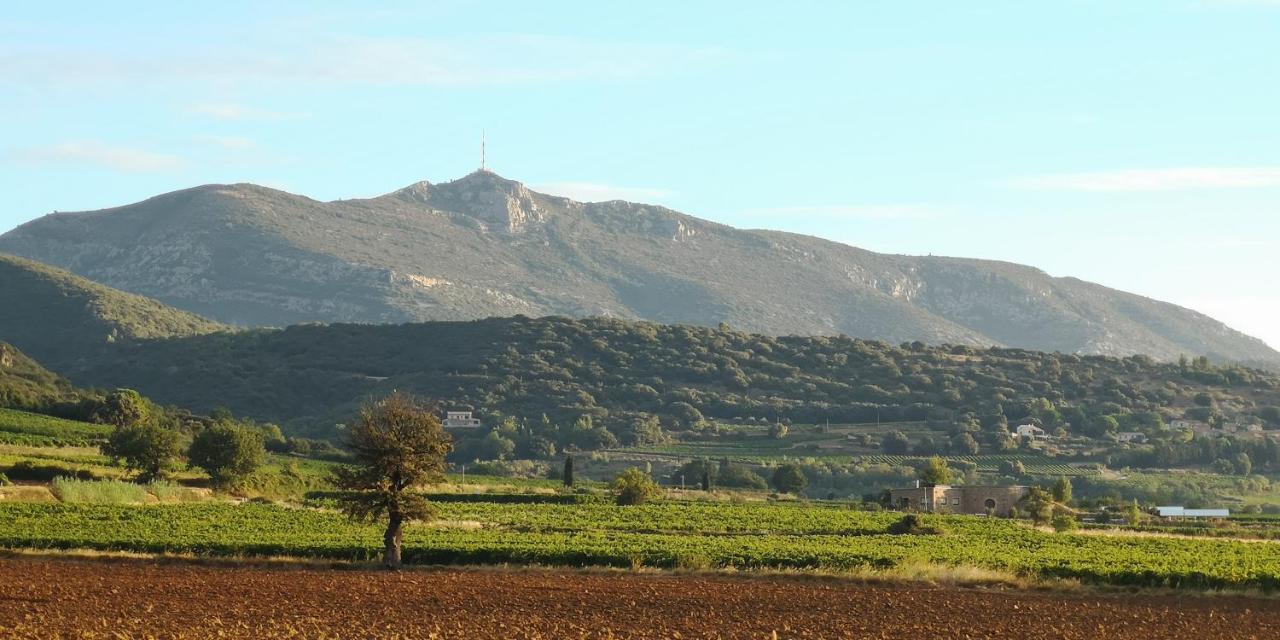 Bed and Breakfast Le Mimosa Saint-Saturnin-de-Lucian Exteriér fotografie
