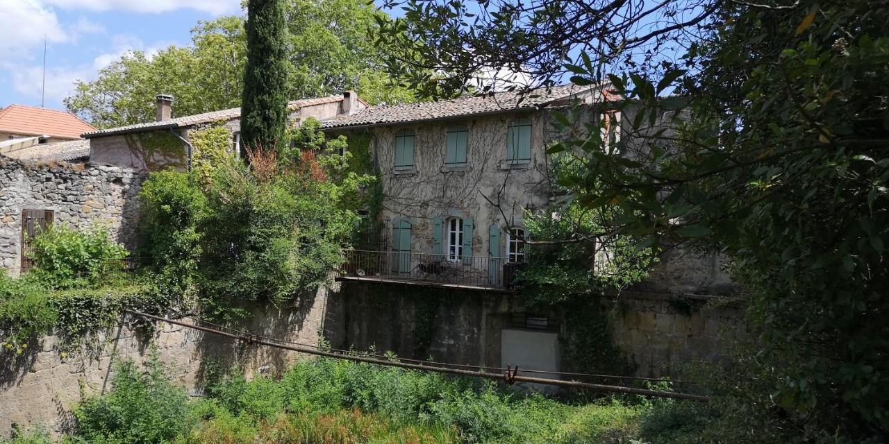 Bed and Breakfast Le Mimosa Saint-Saturnin-de-Lucian Exteriér fotografie