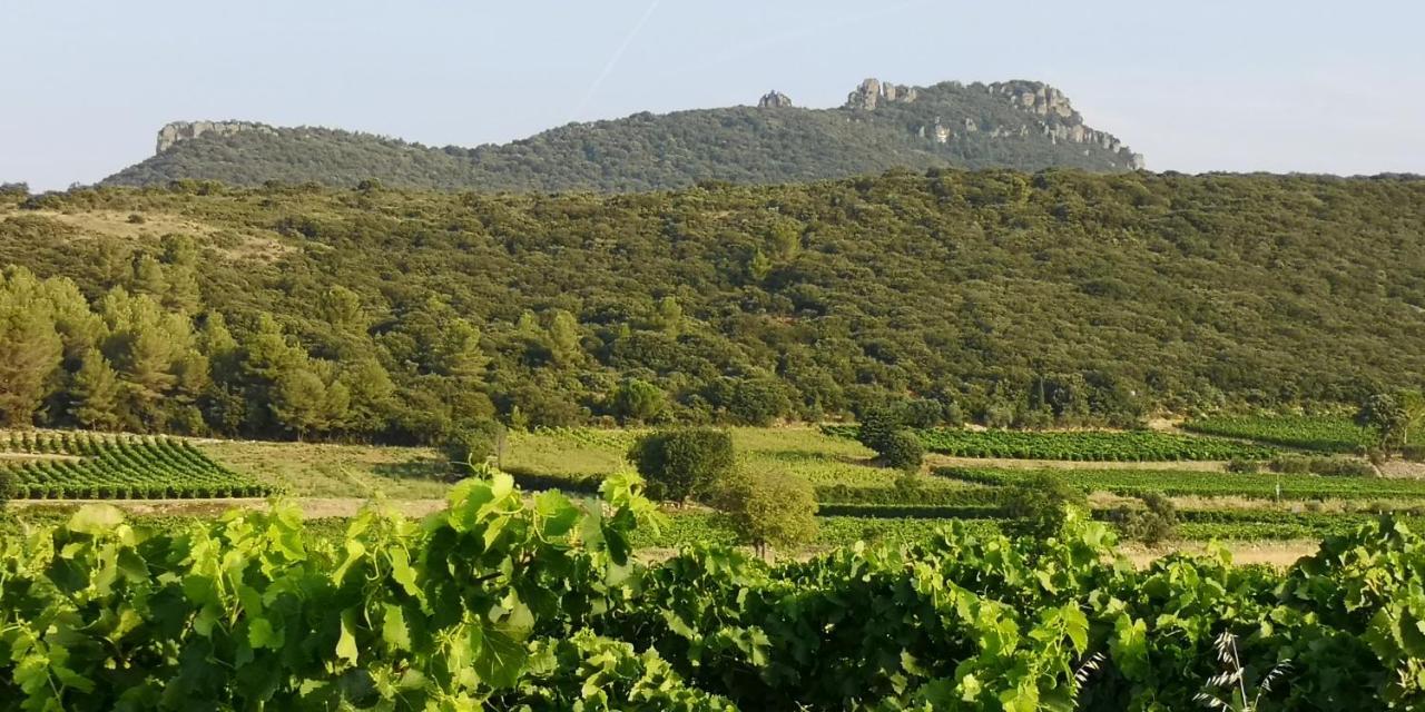 Bed and Breakfast Le Mimosa Saint-Saturnin-de-Lucian Exteriér fotografie