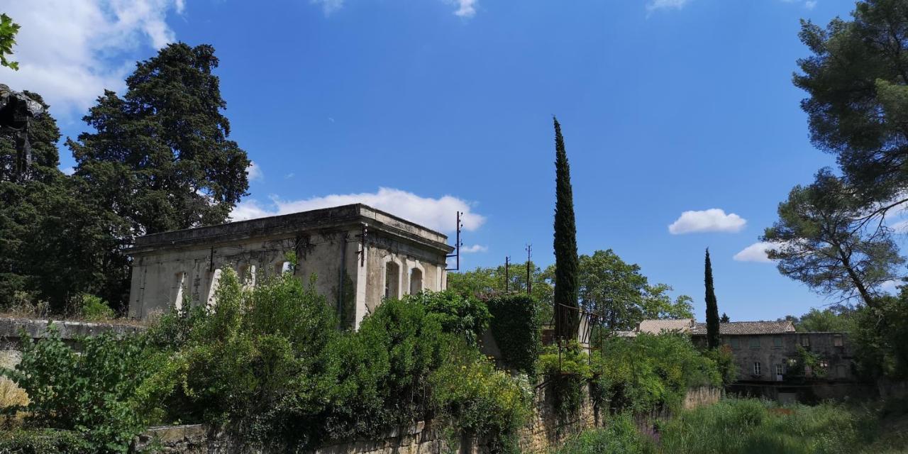 Bed and Breakfast Le Mimosa Saint-Saturnin-de-Lucian Exteriér fotografie