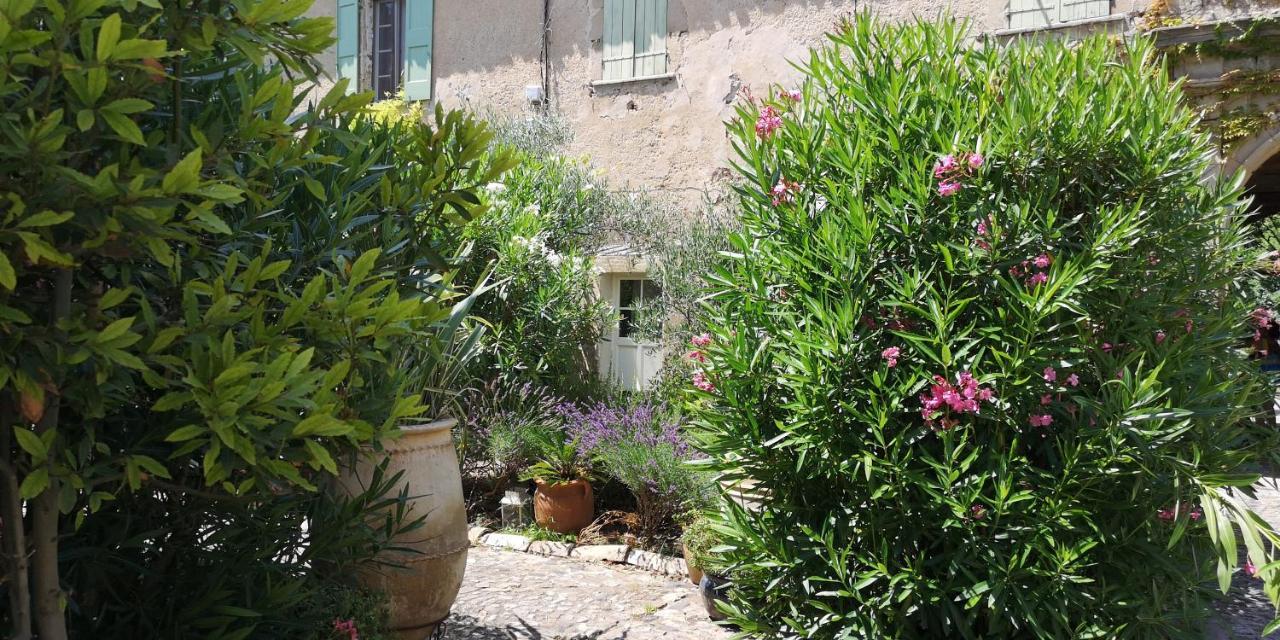 Bed and Breakfast Le Mimosa Saint-Saturnin-de-Lucian Exteriér fotografie